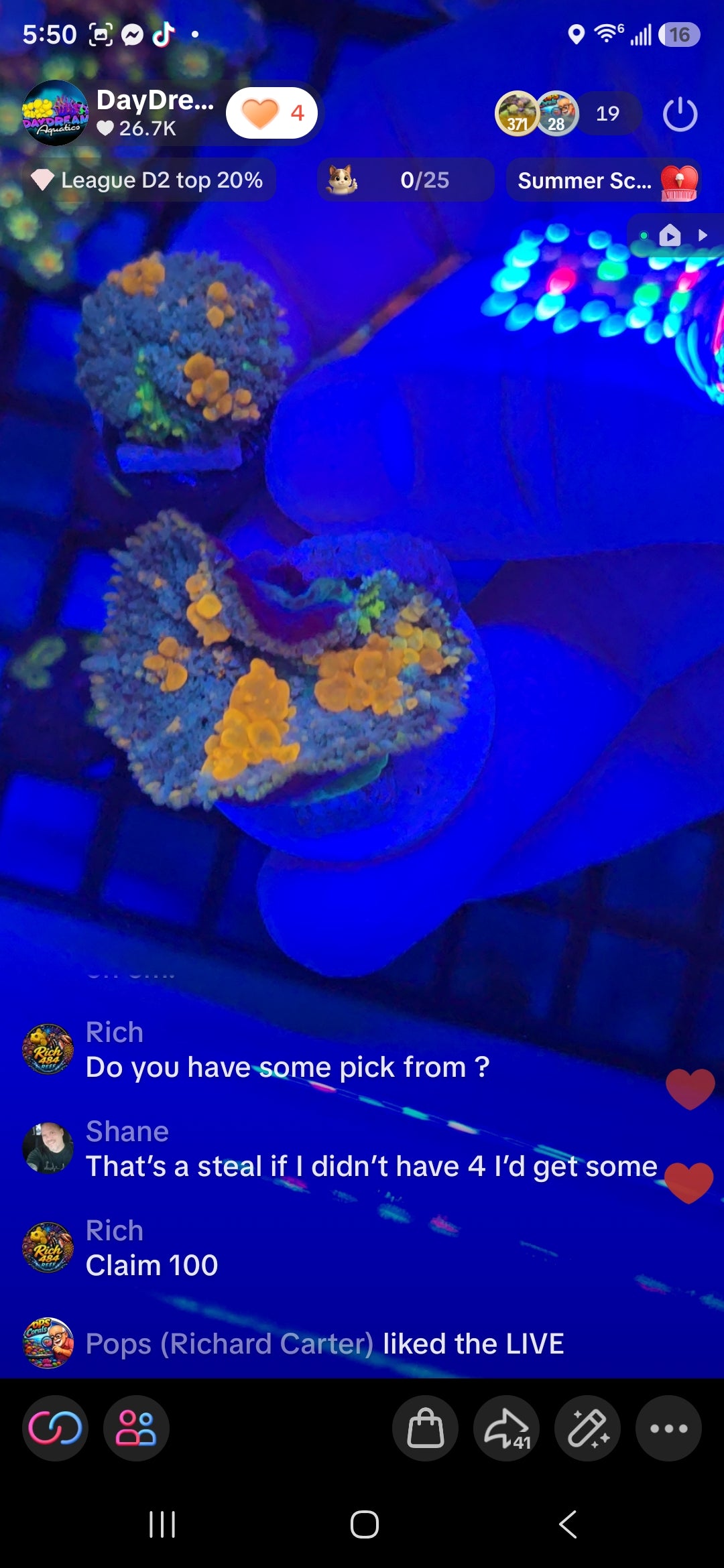 Rich's Pack