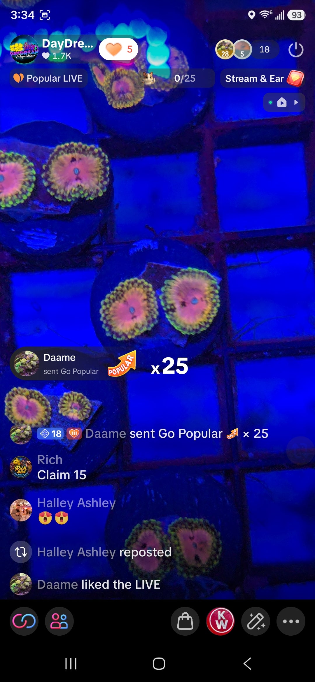 Rich's Pack