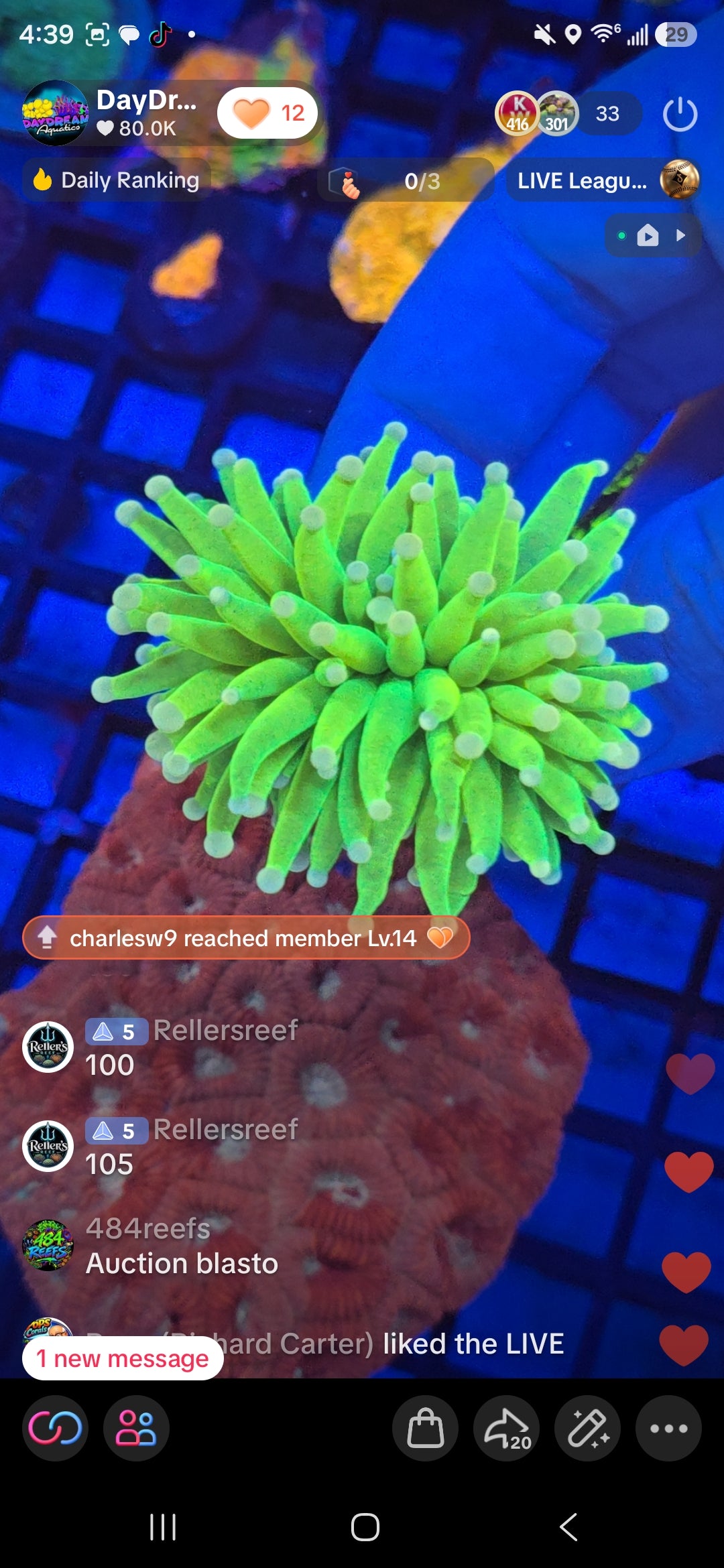 Rellers Reef Pack