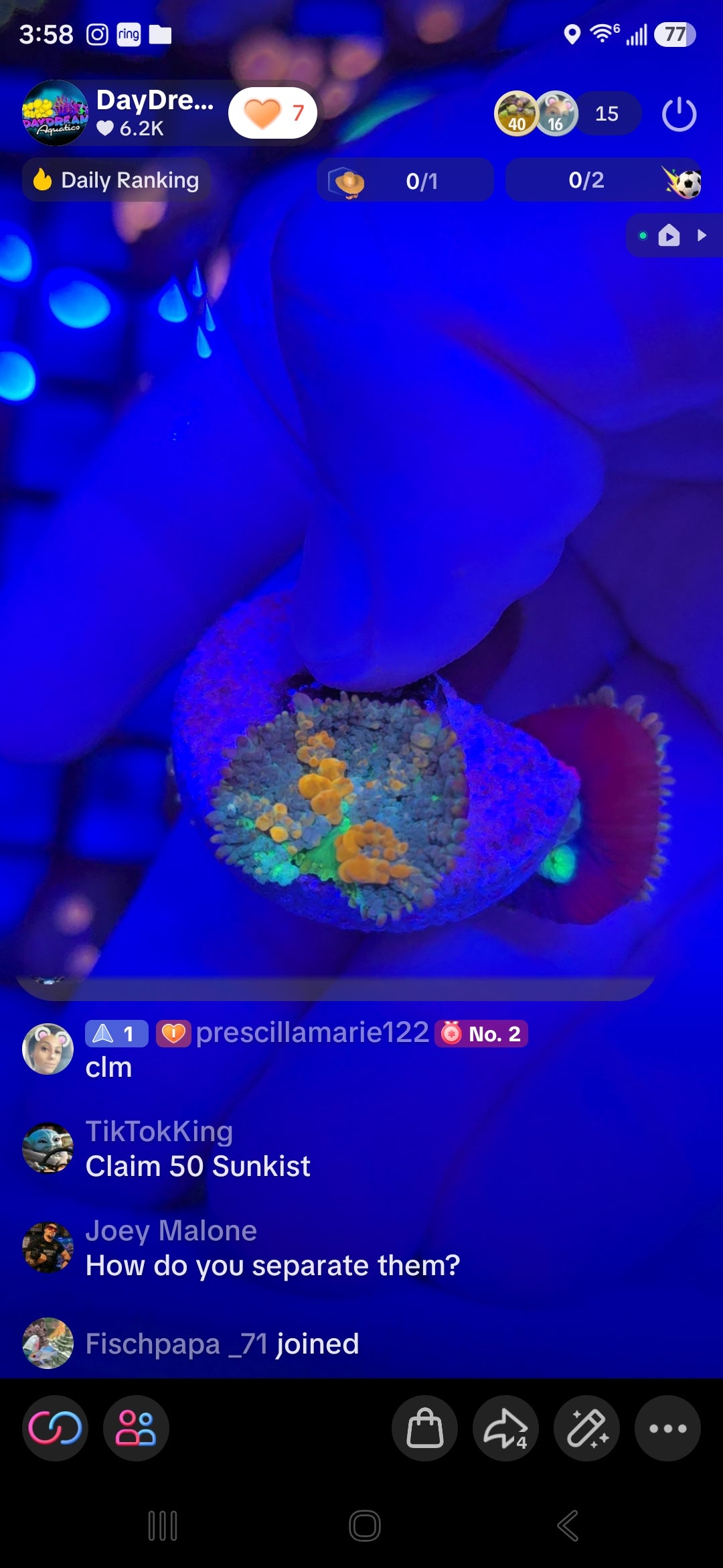 TikTokKings Pack